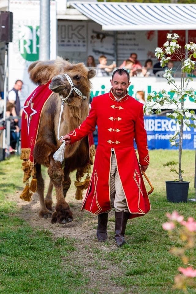 Circusgastheer of vrouw voor uw evenement